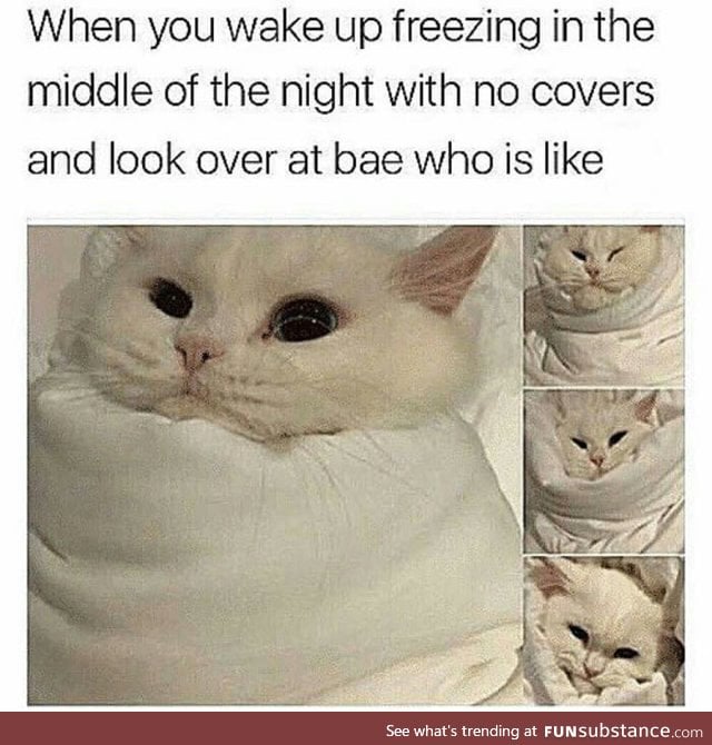 Stop stealing my covers FunSubstance