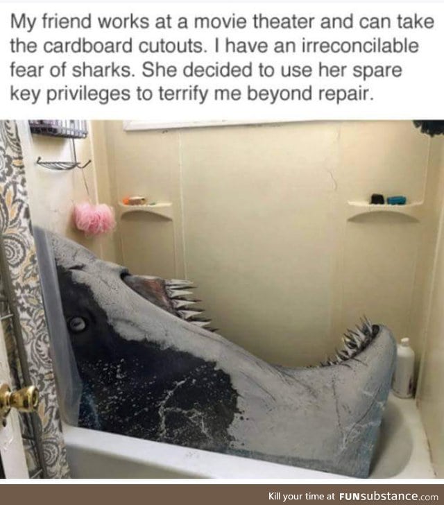 Poop inducing decoration FunSubstance