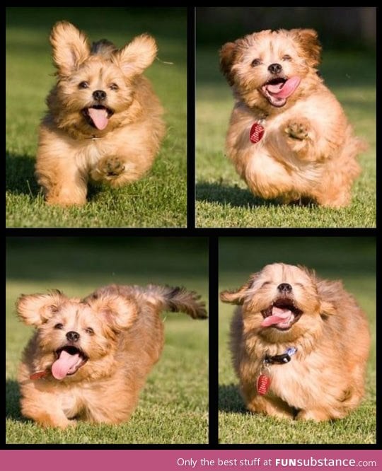 The face of sheer joy FunSubstance