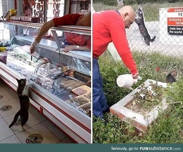 This Turkish butcher used to feed a stray cat. The cat has past away