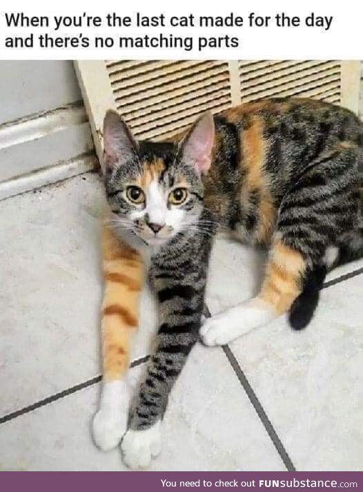 Spare parts cat FunSubstance