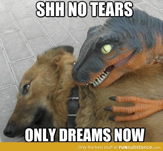 Bite the pillow, I'm going in dry! FunSubstance