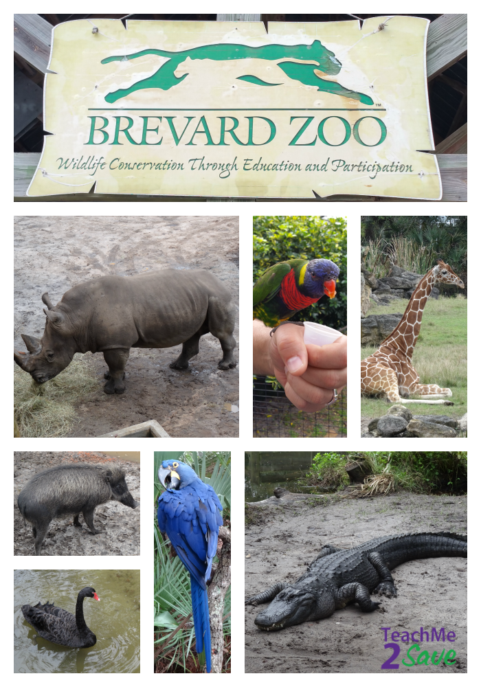Brevard Zoo Offers A Ton of Animals and Activities Funtastic Life