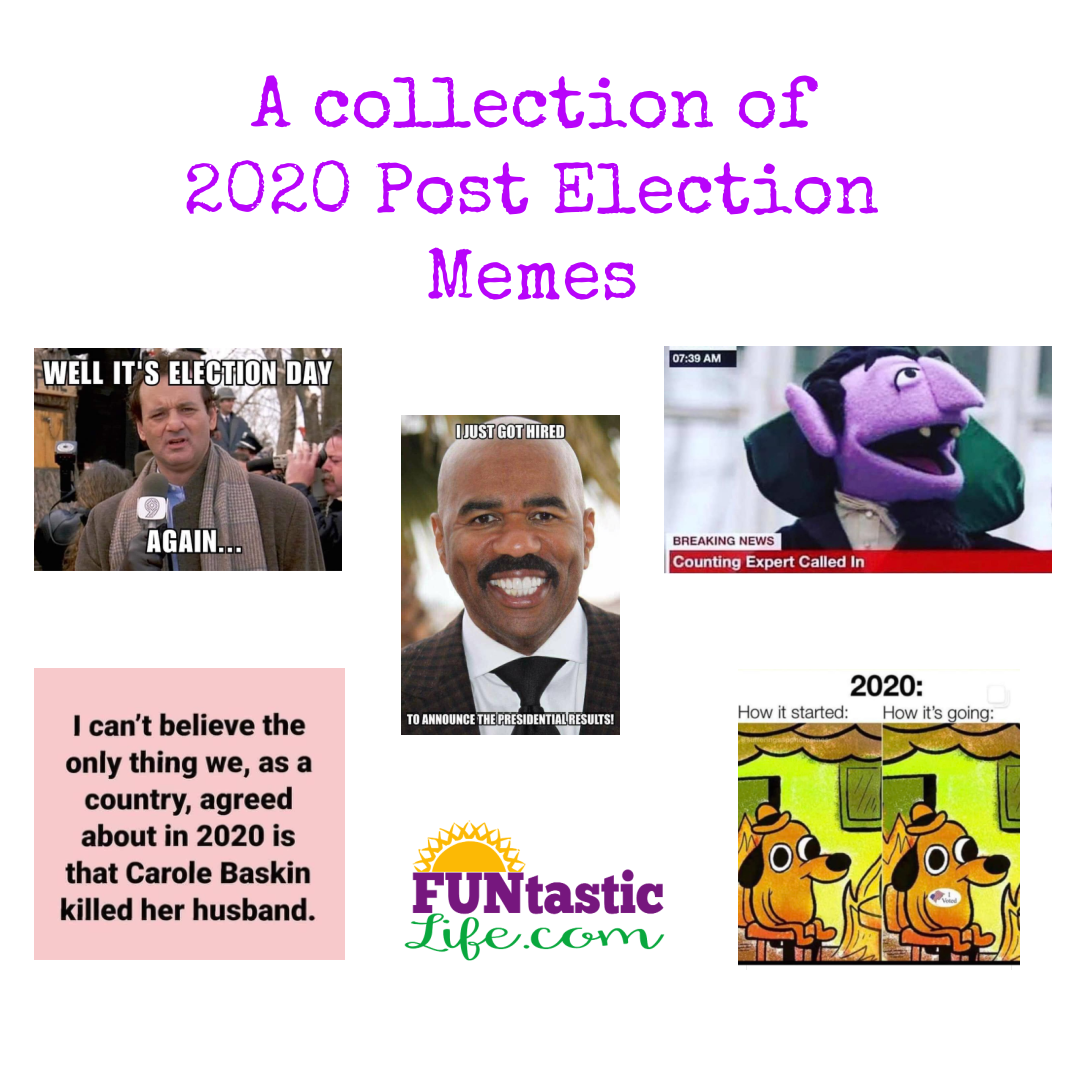 A Collection of 2020 Post Election Memes Funtastic Life