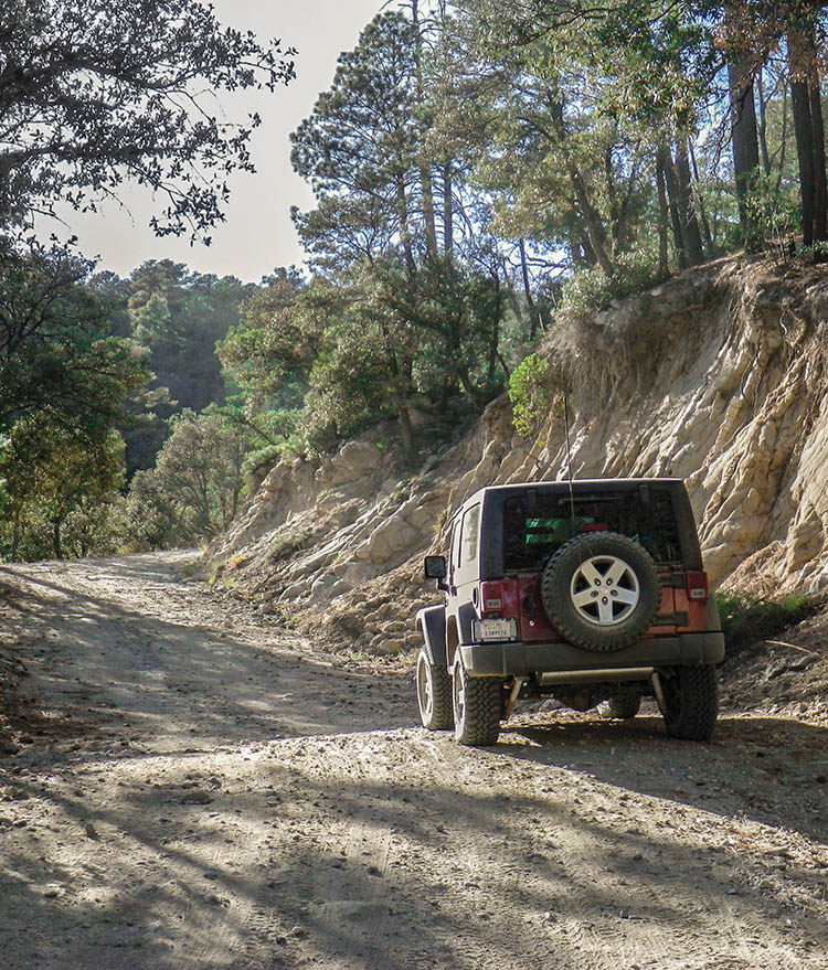 Backway to Mount Lemmon FunTreks