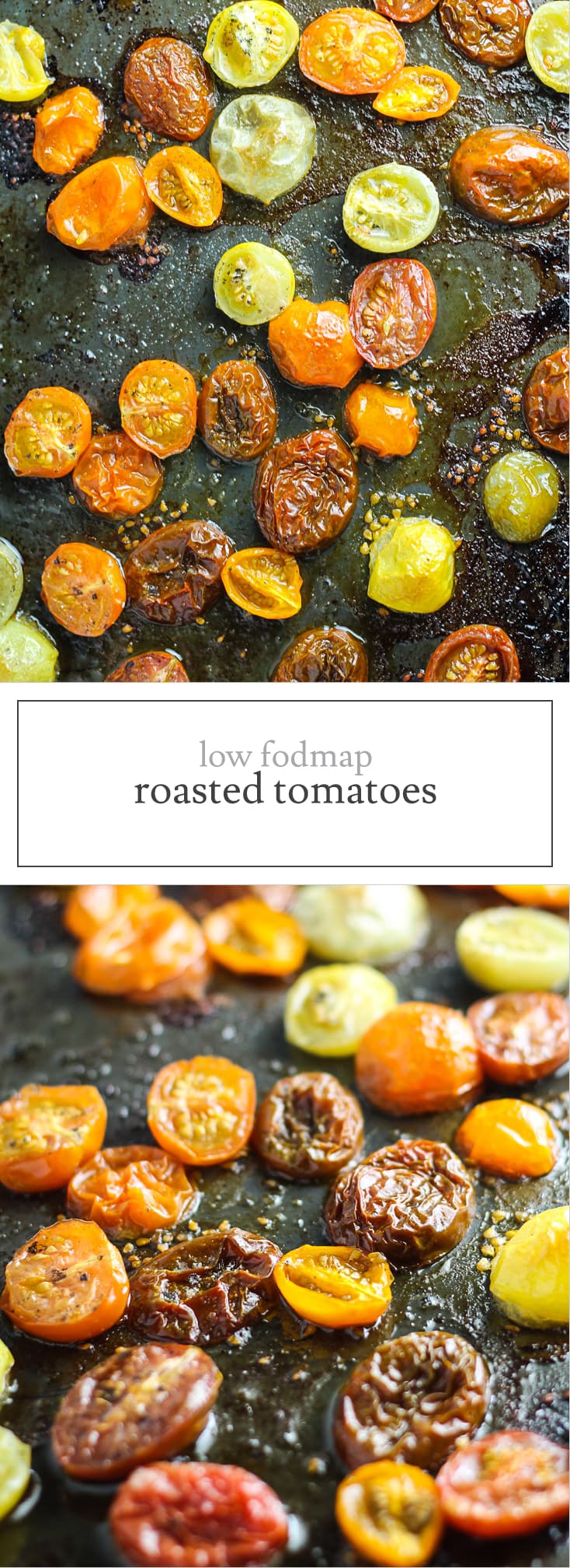 Low FODMAP Roasted Tomatoes Fun Without FODMAPs