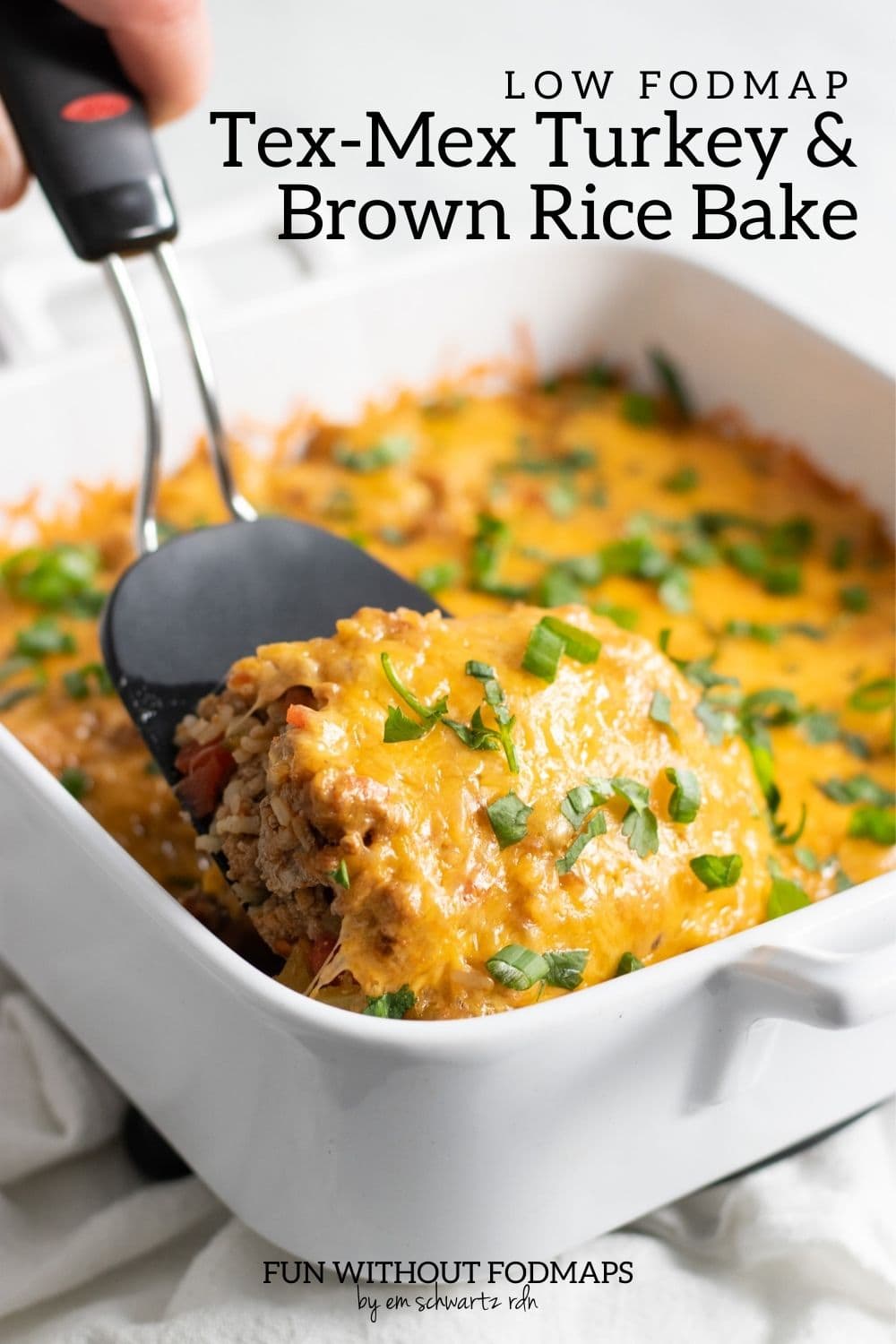Low FODMAP TexMex Turkey and Brown Rice Bake Fun Without FODMAPs
