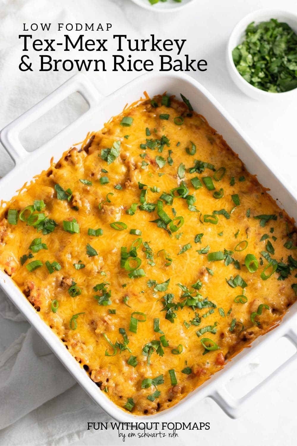 Low FODMAP TexMex Turkey and Brown Rice Bake Fun Without FODMAPs