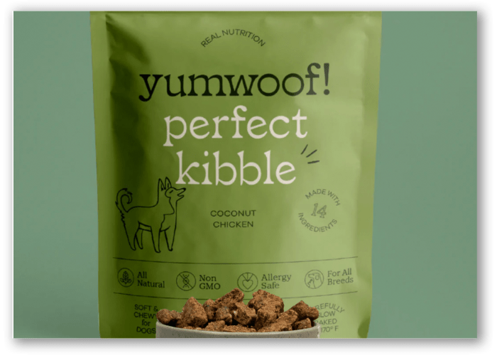 [Top 8 List] Best Dog Food Brands Which Is Best For Your Dog