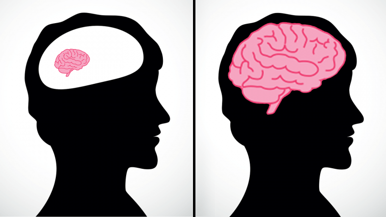 Science Explains 5 Proven Ways To Boost Your Intelligence funzone.am