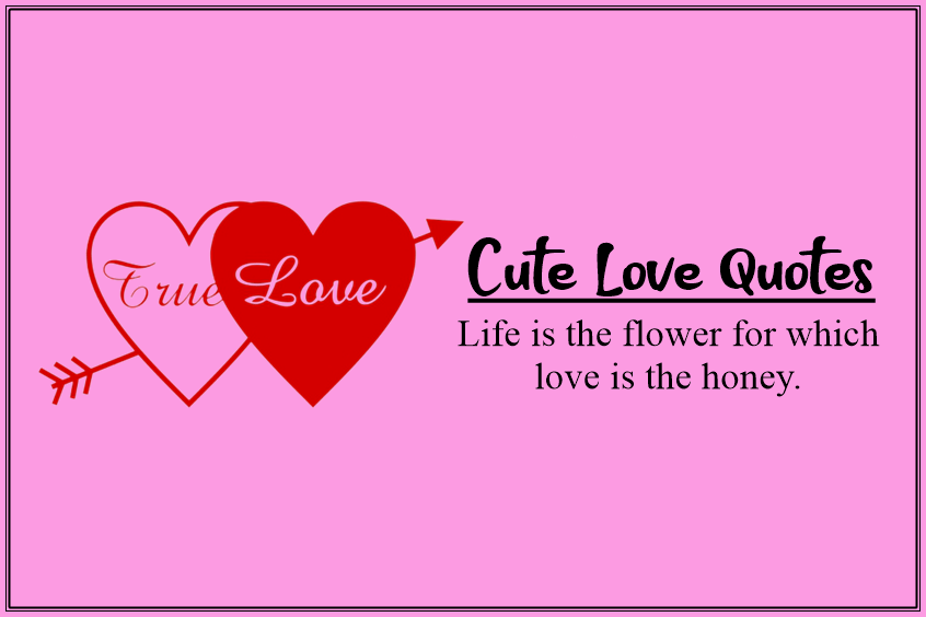 140 Cute Love Quotes From the Heart Emotional & Sweet FunZumo
