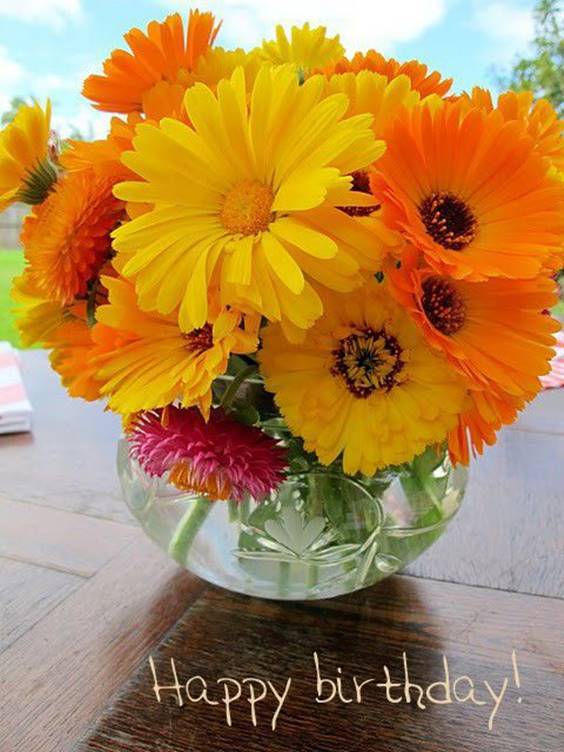 75 Best Happy Birthday Flowers With Quotes For Good Day FunZumo