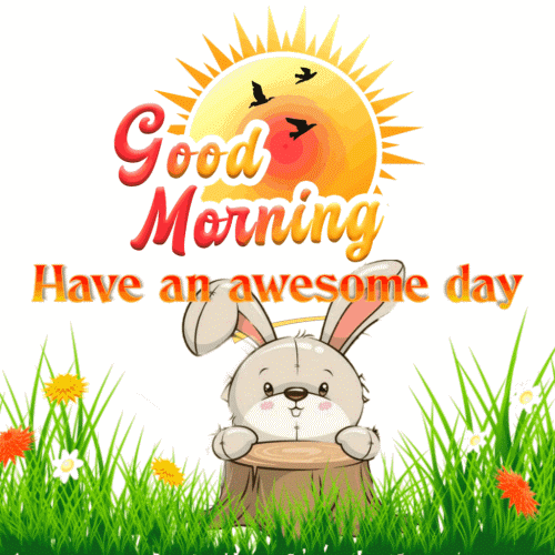 28 Good Morning GIFs FunZumo