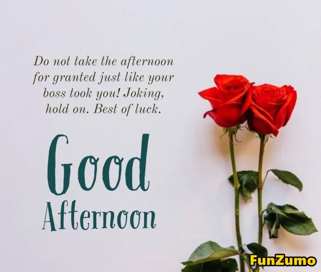 70 Good Afternoon Messages And Quotes FunZumo