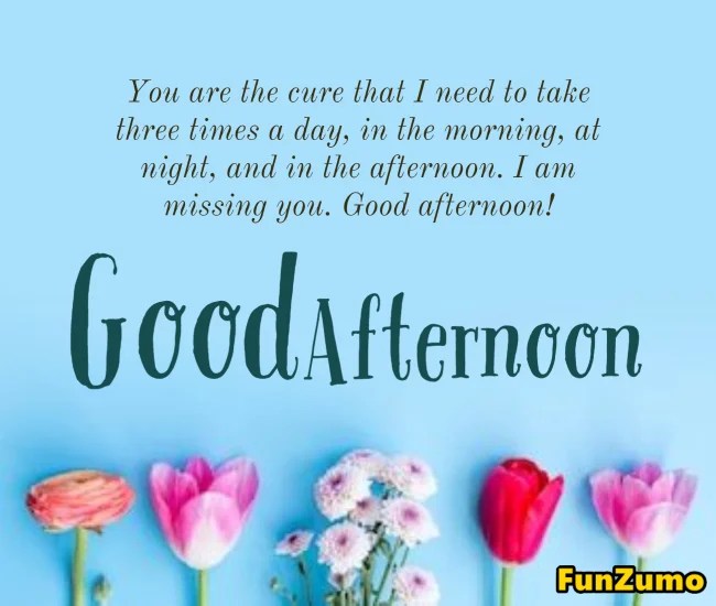70 Good Afternoon Messages And Quotes FunZumo