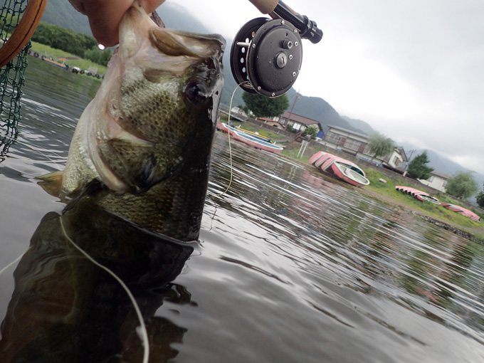 ブルーギル 釣り フライキャスティングでブルーギル釣り！ 2話