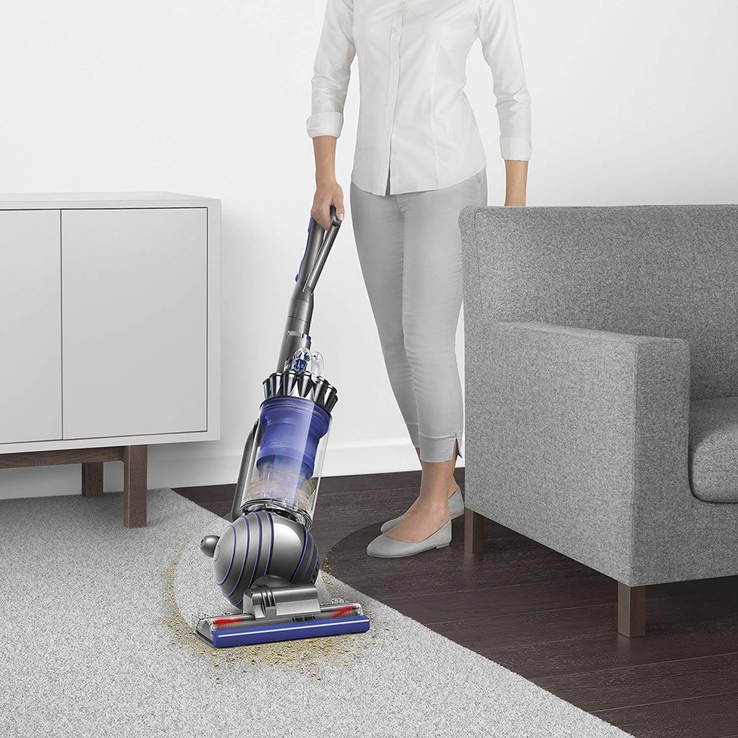 Shark TruePet NV752 Review The Best Shark Vacuum For Pet Hair Fur