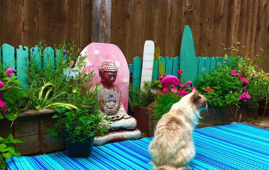 Create a Cool Cat Garden for your Felines with Safe Plants Furball Fables