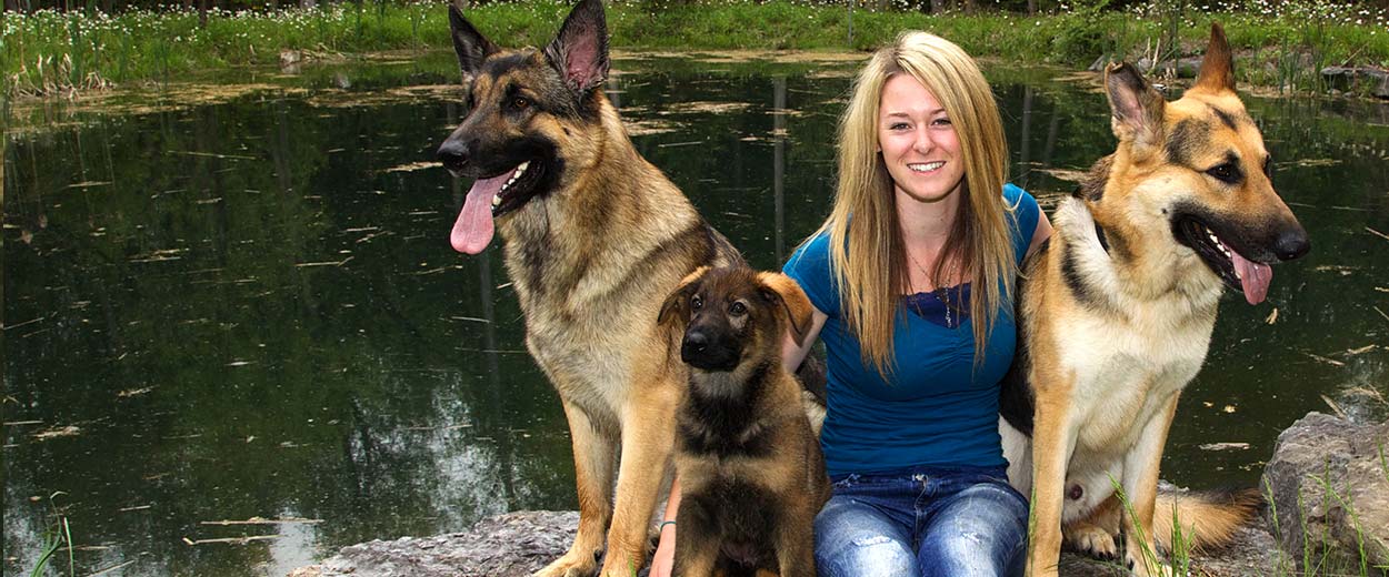 Furball's Choice Pet Sitting, Dog Walking, Natural and Raw Pet Foods