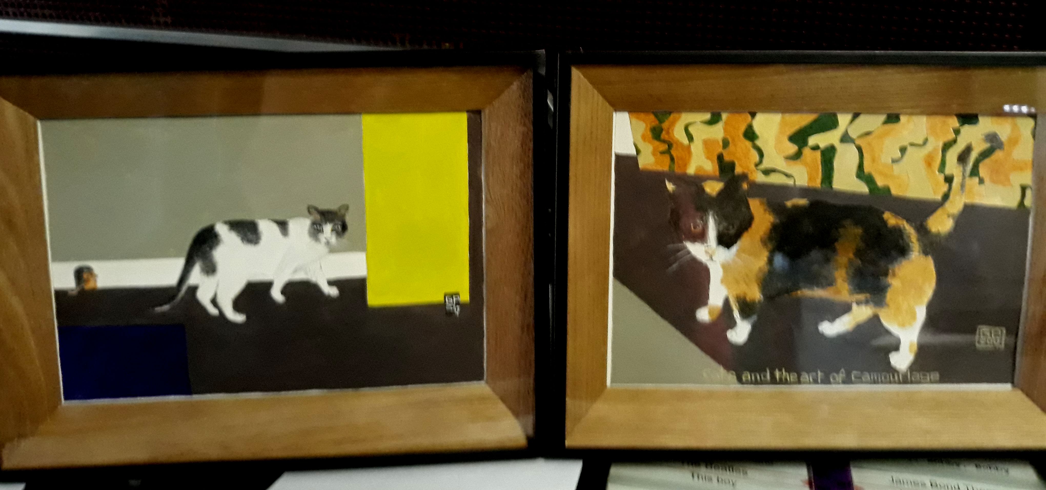 cat portraits Fur Child Portraits