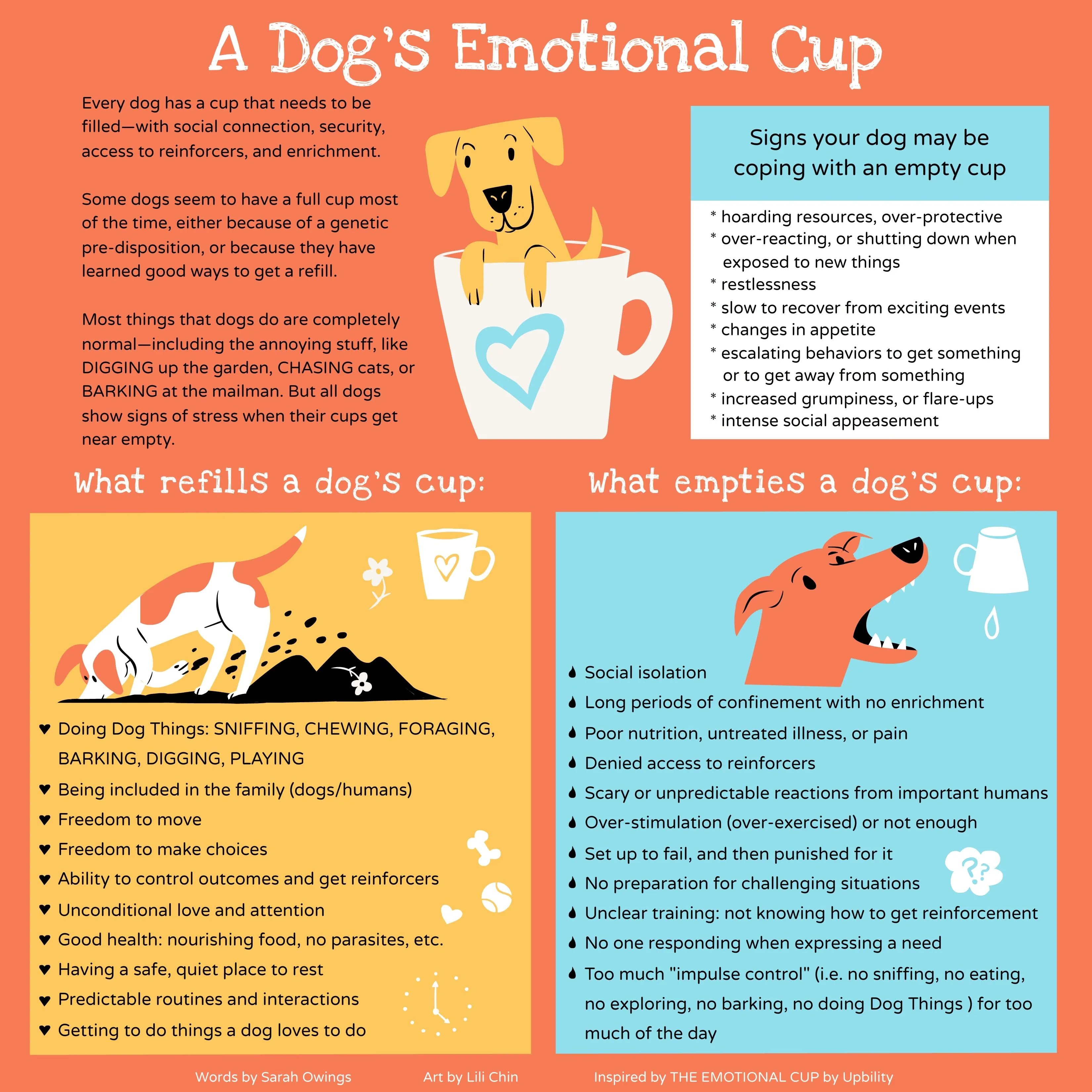 Create your dog's bucket list Dog Training School