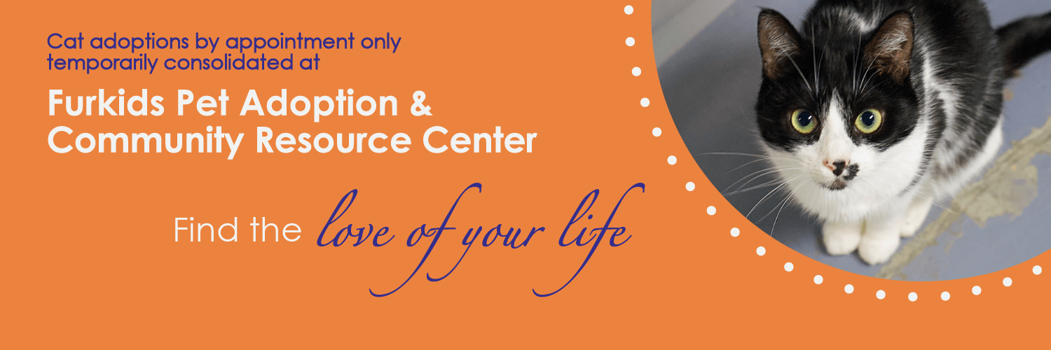 Atlanta's Largest No Kill Animal Shelter & Rescue Dog & Cat Adoption