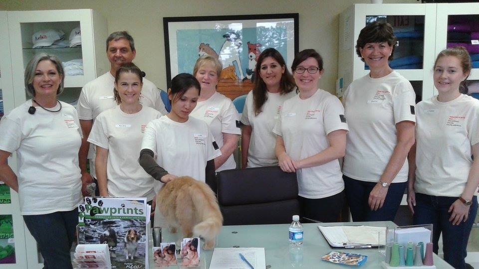 Teamwork Makes the Dream Work! Furkids Largest No Kill