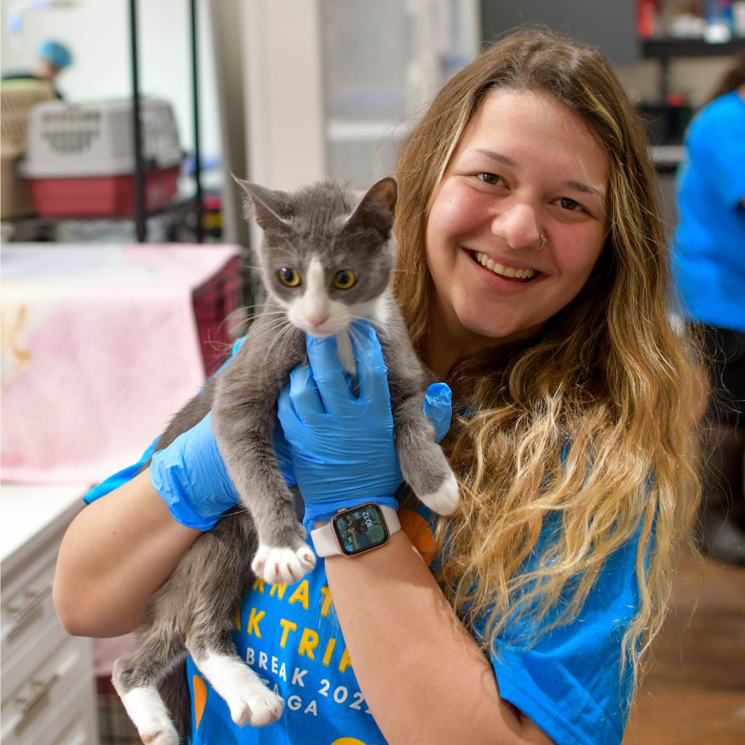 Furkids’ Top 10 Favorite Moments of 2022 Furkids Largest