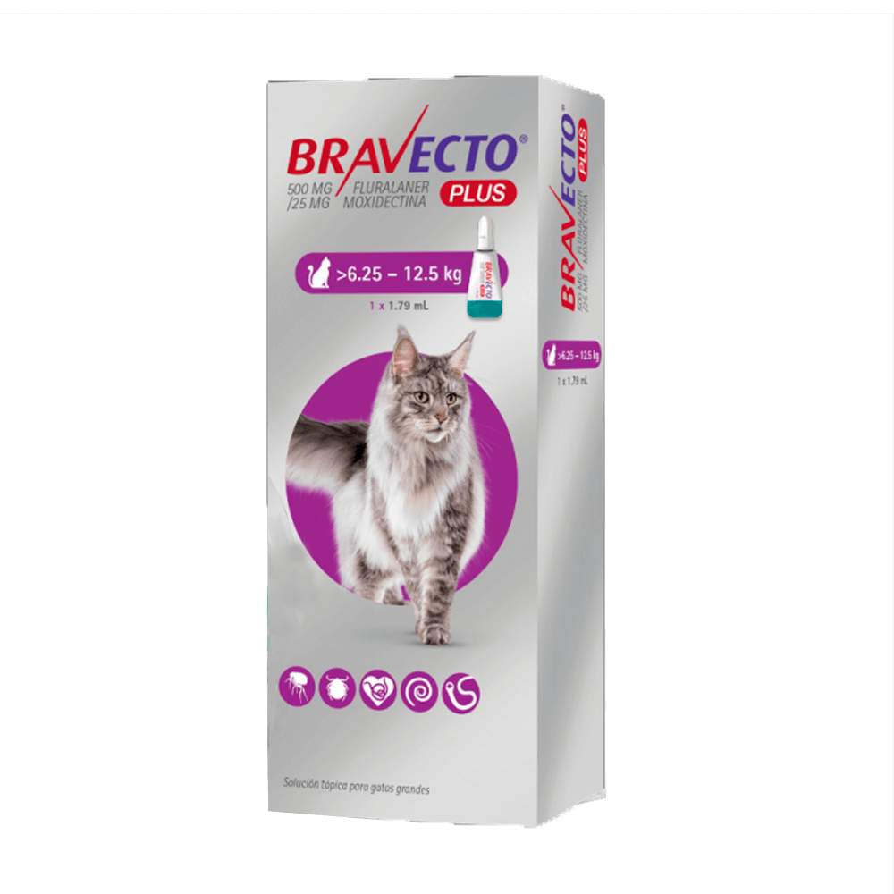Bravecto plus Cat Furmail