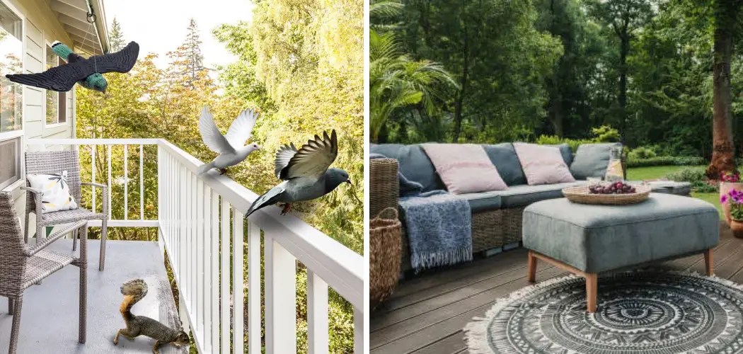 How To Stop Bird Poop On Patio at Helen Gong blog