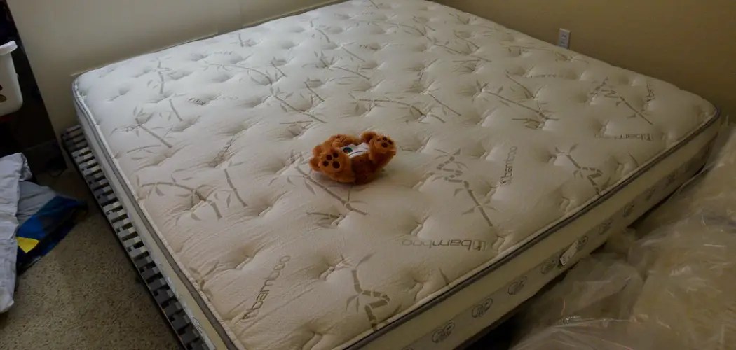 How to Get Sweat Smell Out of Mattress 10 Easy Methods (2024)