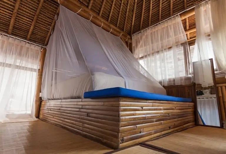 A Guide To Getting Rid Of Termites In Bamboo Furniture Furnishing Tips