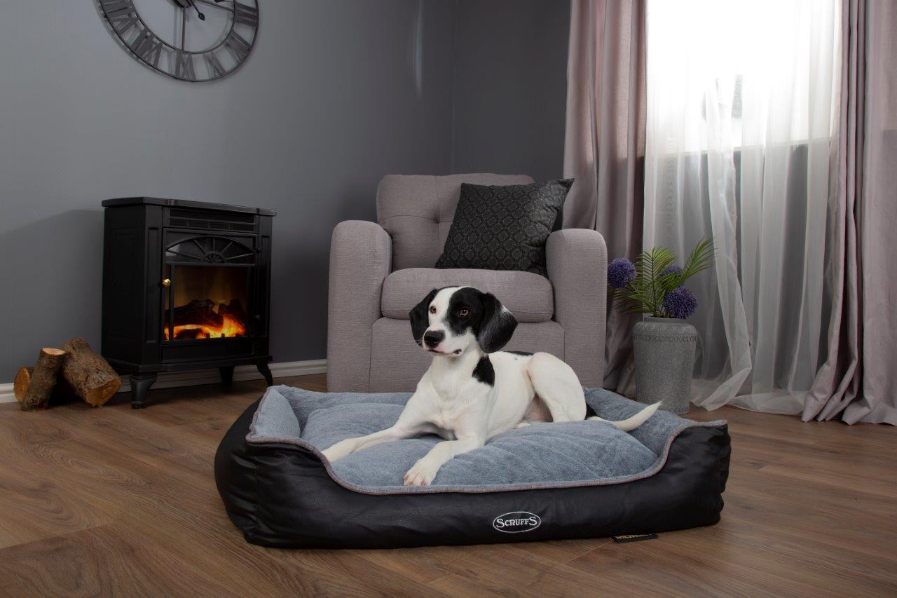 Benefits of an Orthopaedic Dog Bed Furr Boost