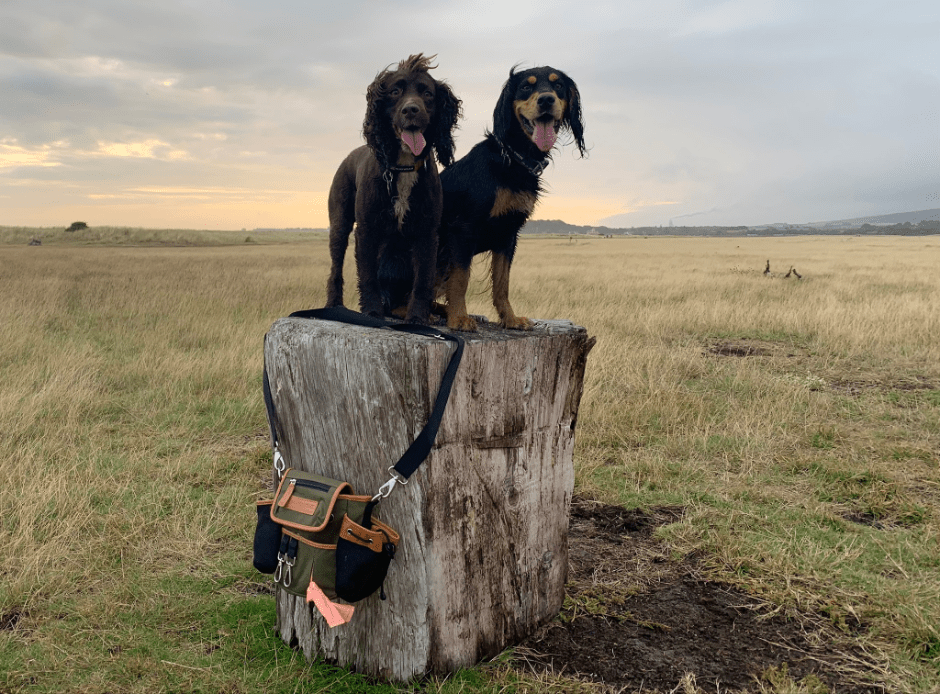 How Barking Bags created the best bags for dog walkers