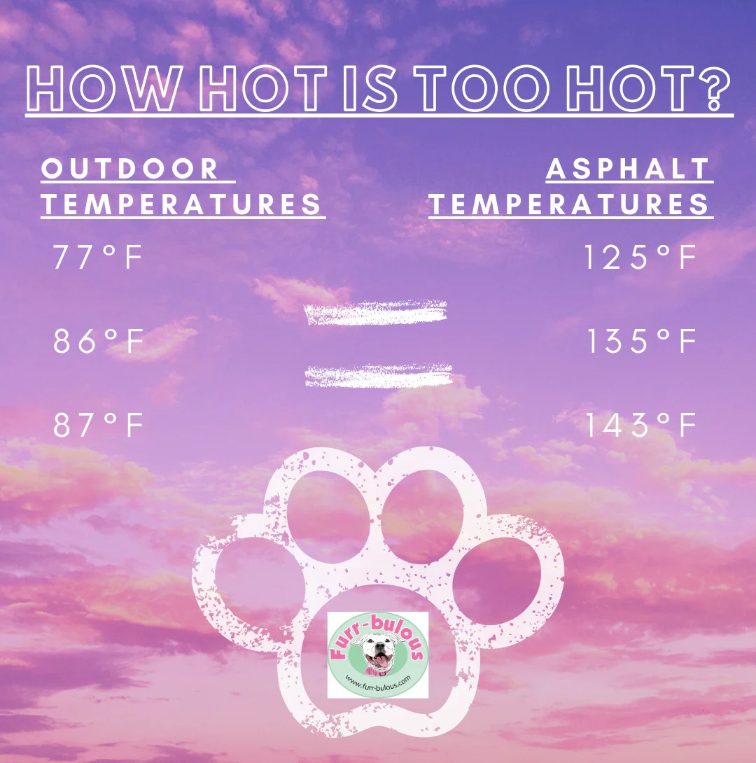 How Hot is Too Hot FurRescue Fashions