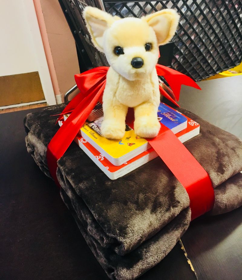 Furry Babies Fox Valley in the Community Helping Those in Need this