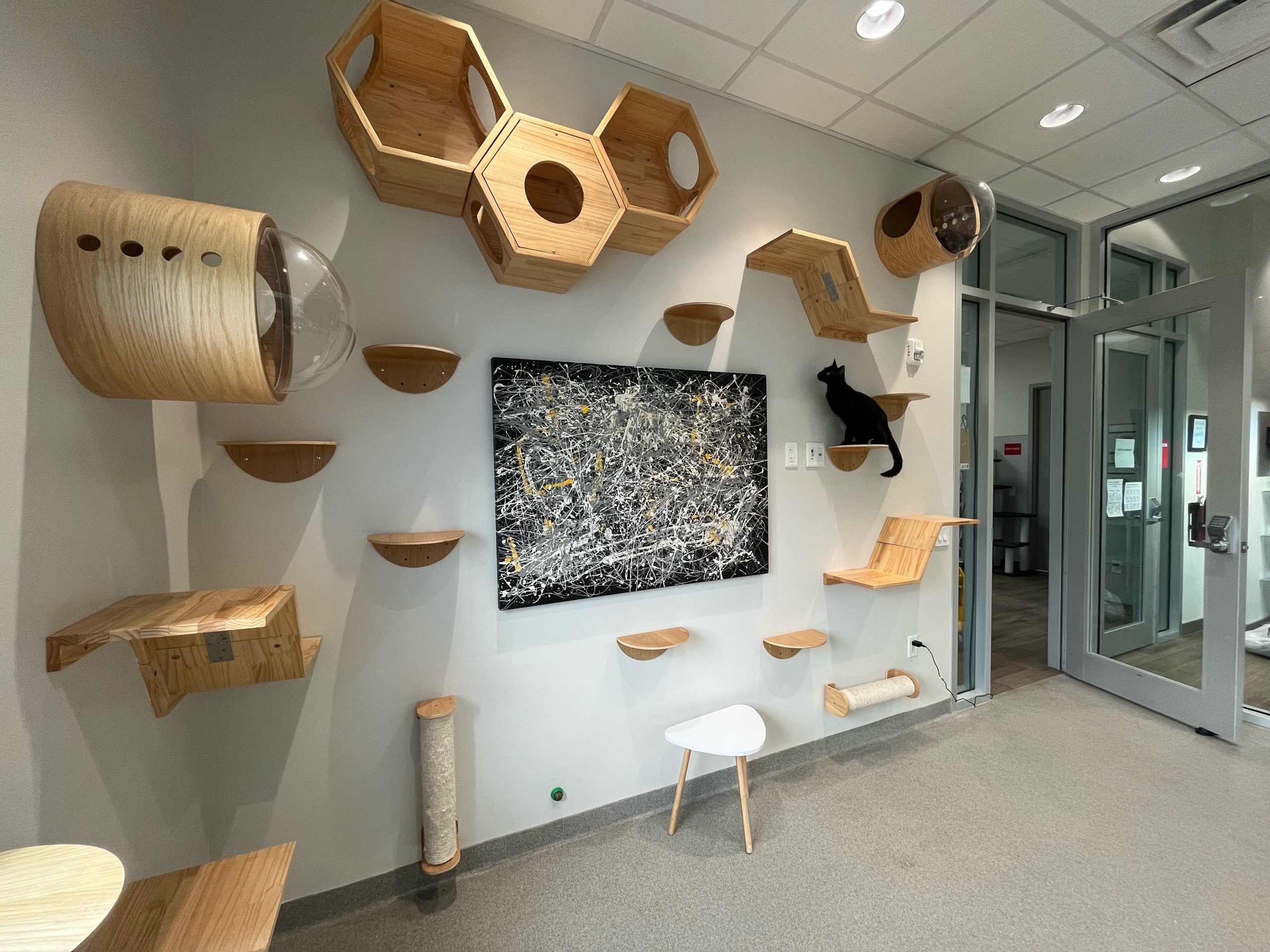 Our Locations Furry Friends