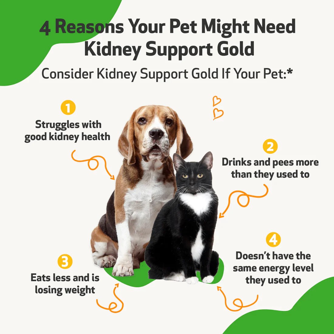 Pet Wellbeing Kidney Support Gold for Cats & Dogs Kidney Function