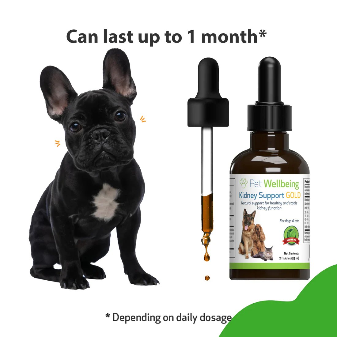 Pet Wellbeing Kidney Support Gold for Cats & Dogs Kidney Function