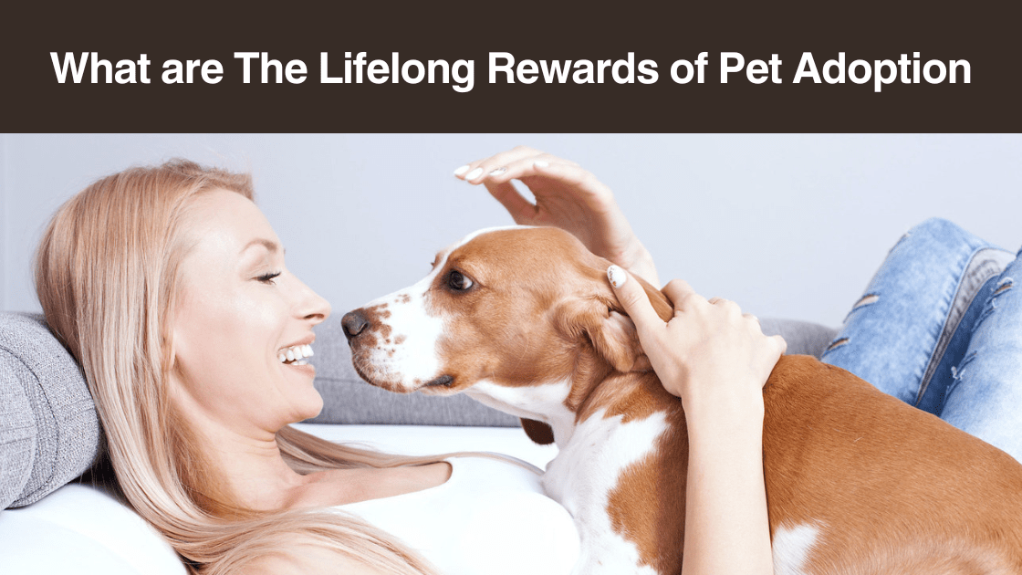 What are The Lifelong Rewards of Pet Adoption? Furry Talez