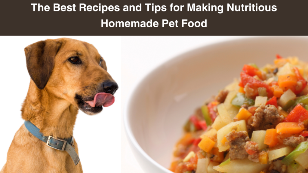 Tips for Making Nutritious Homemade Pet Food Recip