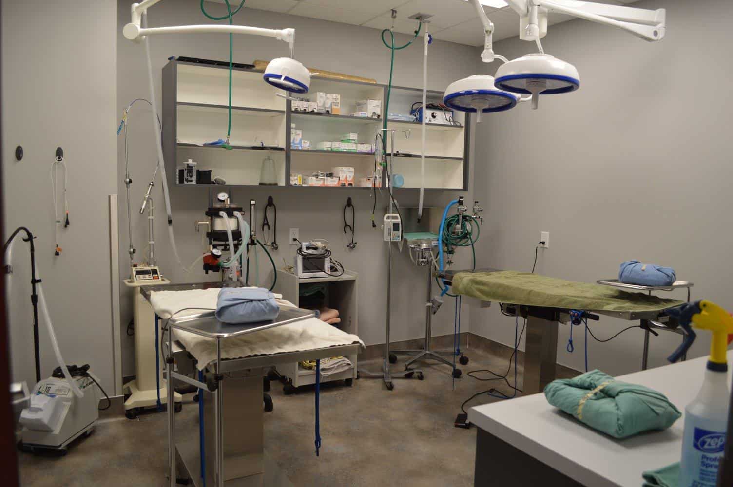 Hillside Veterinary Hospital Furst Construction Company