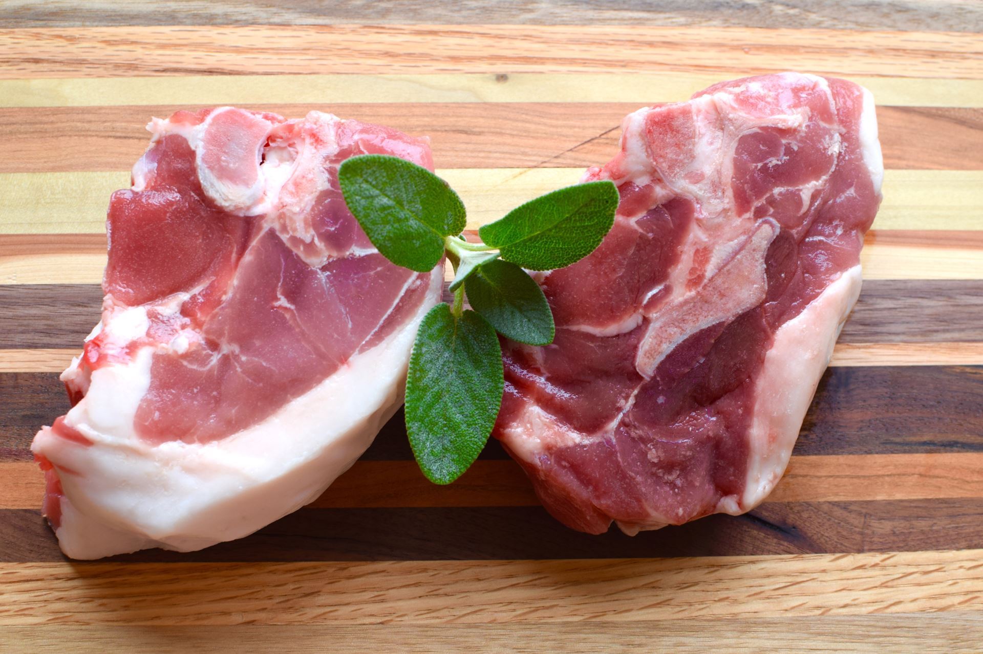 KuneKune meat guide Furs to feathers Mini farm