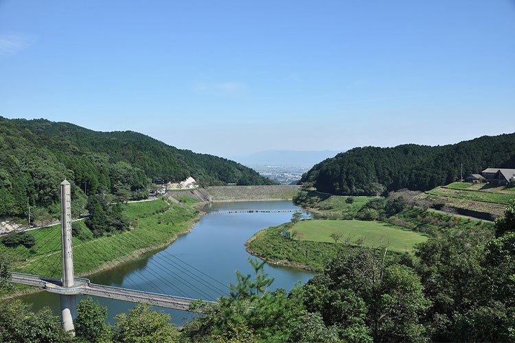 佐賀県鳥栖市のふるさと納税のご紹介