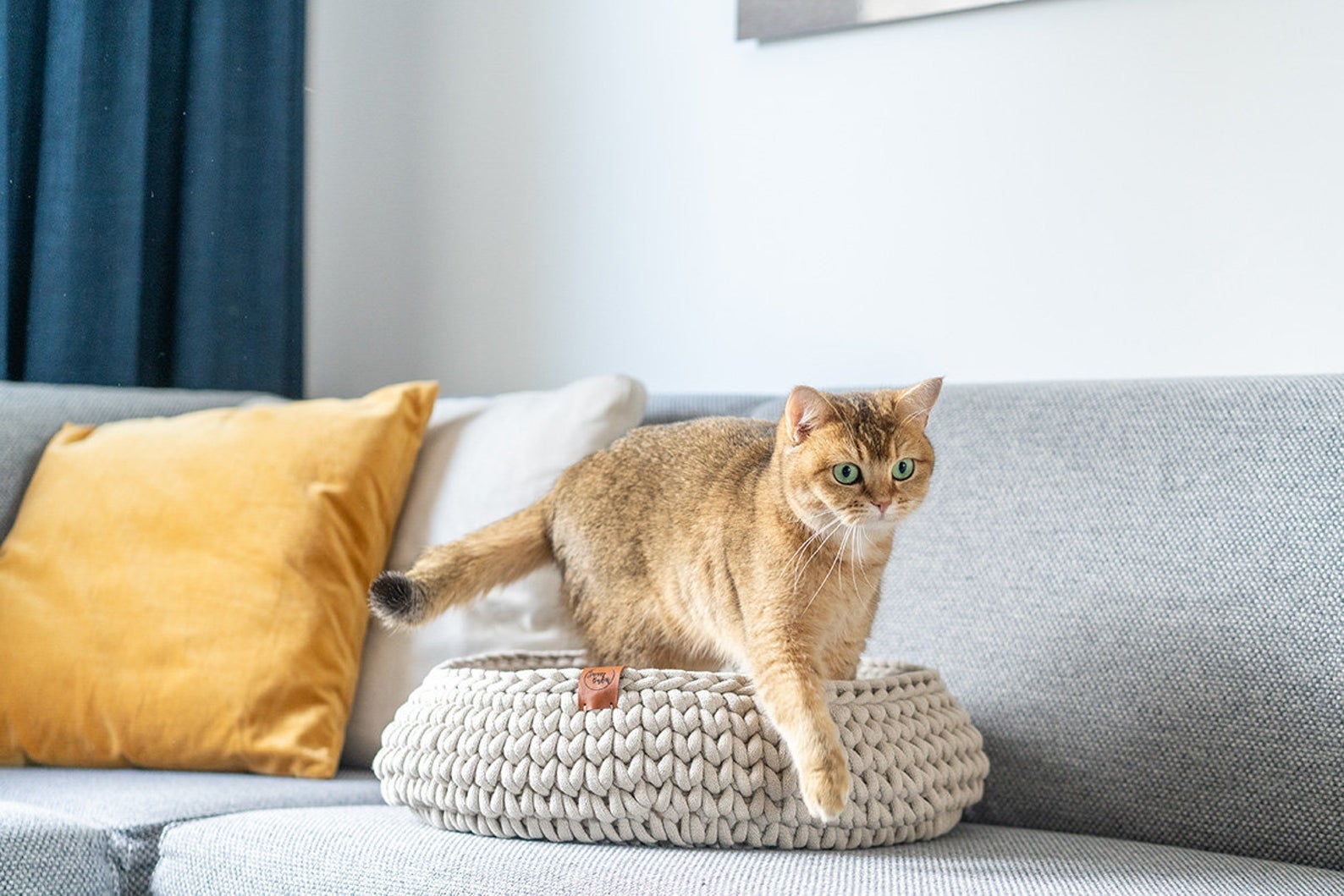 How stylish cat beds australia Can Improve Your Home Décor Fury Things