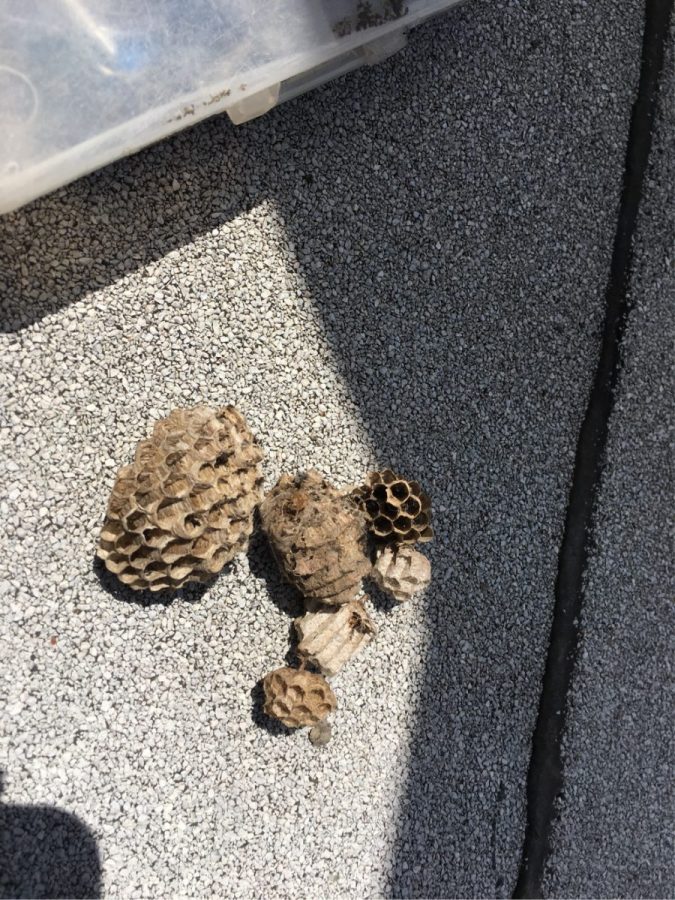 HVAC Repair San Jose CA Commercial Refrigeration Pros Fuse HVAC