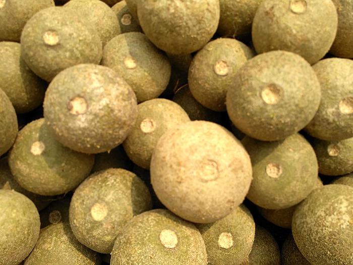 Wonderful Benefits of Wood Apple Fusion WeRIndia