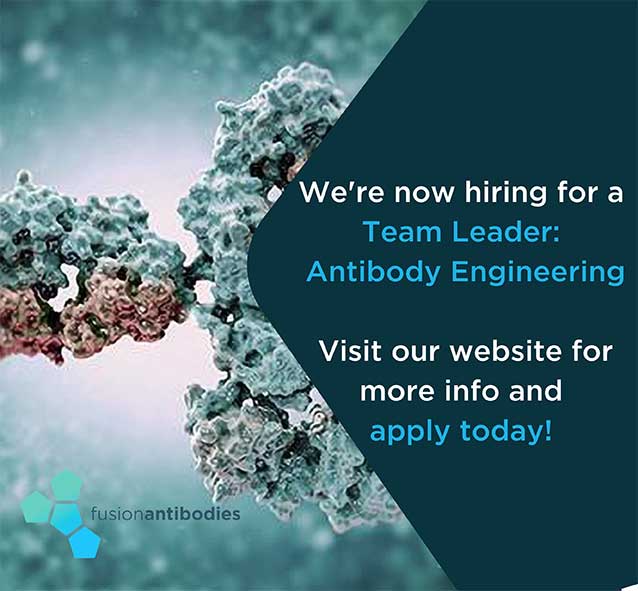 Team Leader Antibody Engineering Fusion Antibodies