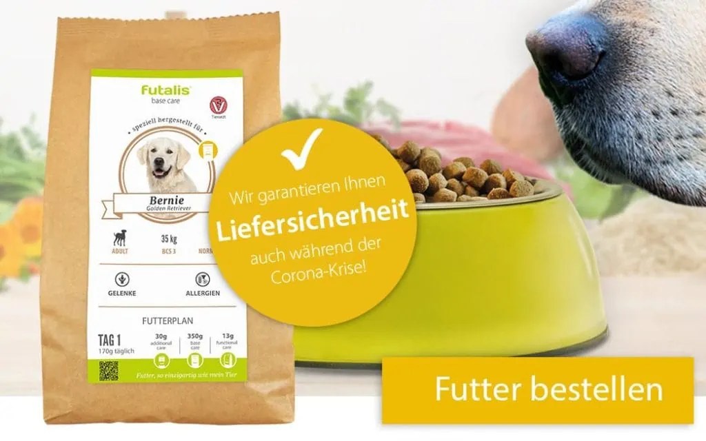 futalis Hundefutter im Vergleich zu Standardfutter » futalis.de