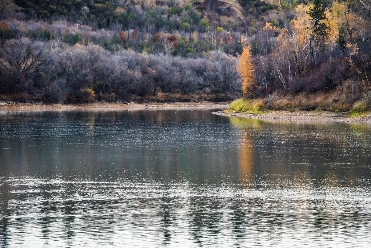 Nature Bathing in the Largest Urban Park in North America Episode 1